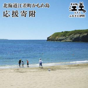 ふるさと納税 江差町 【返礼品なし】かもめ島応援寄附(1口:1千円)かもめ島の環境保全・景観保護・にぎわい創出支援