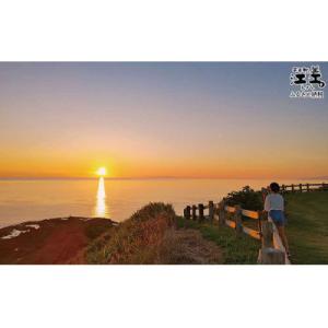 ふるさと納税 江差町 【返礼品なし】かもめ島応...の詳細画像3