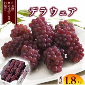 ふるさと納税 寒河江市 種無しぶどう「デラウェア」約1.8kg (8〜16房) 2026年産 秀品
