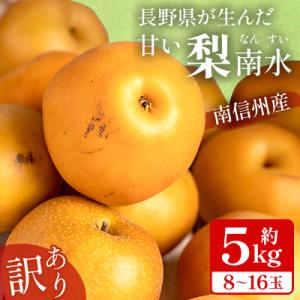 ふるさと納税 松川町 【訳あり】甘くてシャリシャリ食感が特徴!南信州産　南水梨約5kg　R8年9月上旬〜順次発送　JA45