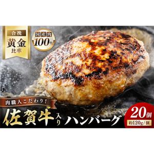 ふるさと納税 伊万里市 佐賀牛入り特製ハンバーグ(120g×20個)(伊万里市)