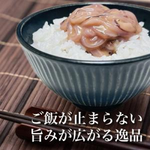 ふるさと納税 北斗市 【道水】いかそうめん塩辛...の詳細画像1
