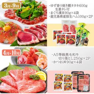 ふるさと納税 枕崎市 お肉とお魚 お楽しみ定期...の詳細画像2