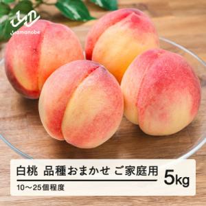 ふるさと納税 山辺町 R8年産 白桃 品種おまかせ ご家庭用 約5kg(10〜25個程度) 山形県産 tf-moywm5