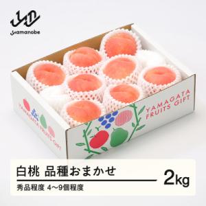 ふるさと納税 山辺町 R8年産 白桃 品種おまかせ 秀品程度 約2kg(4〜9個程度) 山形県産 t...