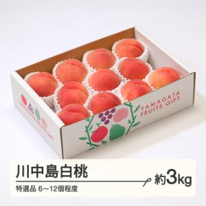 ふるさと納税 山辺町 R8年産 川中島白桃 特選品 約3kg(6〜12個程度) 山形県産 tf-mo...