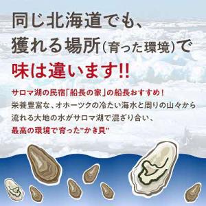 ふるさと納税 北見市 【2027年1月より順次...の詳細画像1