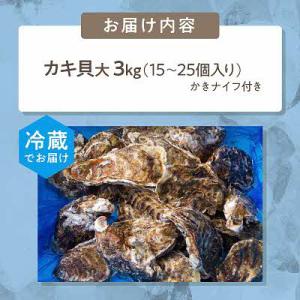 ふるさと納税 北見市 【2027年1月より順次...の詳細画像3
