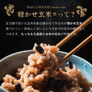 ふるさと納税 稲敷市 寝かせ玄米ごはんパック ...の詳細画像1