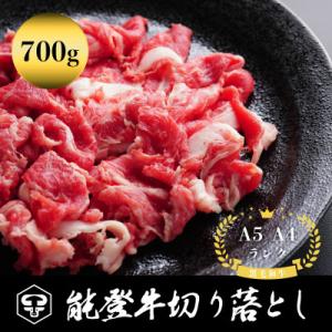 ふるさと納税 能美市 ふるさと納税　A5・A4　石川県産　能登牛切り落とし 700g