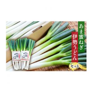 ふるさと納税 津市 あま蜜ねぎ・伊勢うどんセット【長ネギ】[53720333]