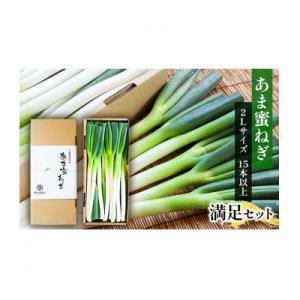ふるさと納税 津市 あま蜜ねぎ 満足セット【長ネギ】[53720334]