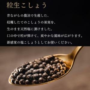ふるさと納税 入間市 【世界初・元祖】粒生こしょう 60g・100年はちみつ140g ギフトボックス...