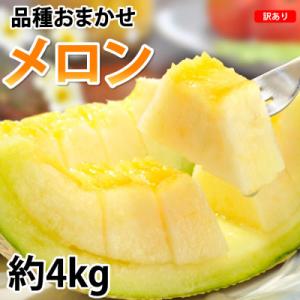 ふるさと納税 菊池市 訳ありメロン 品種おまかせ 約4kg(2〜7玉)【2027年5月下旬より順次発...