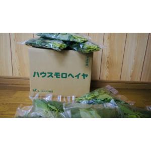 ふるさと納税 唐津市 佐賀県産　冬穫れハウスモロヘイヤ　1kg(100g×10袋)