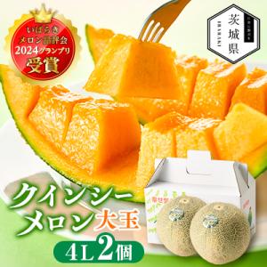 ふるさと納税 茨城県 【先行受付】令和8年4月順次発送 茨城県鉾田市 山一ファーム クインシーメロン...