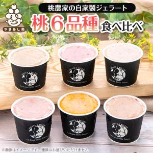 ふるさと納税 山梨市 カフェラペスカのジェラート　6品種の桃の食べ比べ