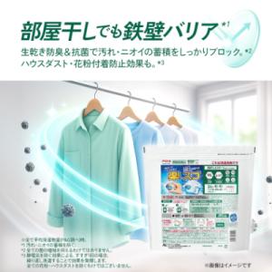 ふるさと納税 藤岡市 P&G アリエー...の詳細画像2