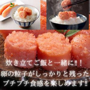 ふるさと納税 嘉麻市 無着色辛子明太子(切子)...の詳細画像2