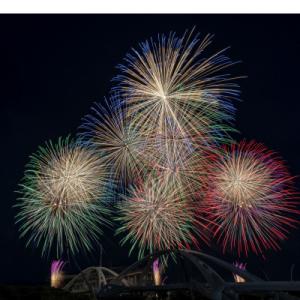 ふるさと納税 豊田市 自分好みの花火が打ち揚がる!プライベート花火大会