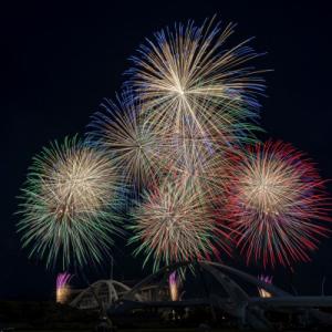 ふるさと納税 豊田市 とってもたくさん花火打ち揚げ(松)
