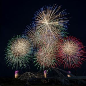 ふるさと納税 豊田市 わりとたくさん花火打ち揚げ(竹)