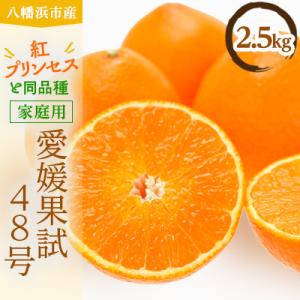 ふるさと納税 八幡浜市 家庭用　愛媛果試48号(紅プリンセスと同品種)【E56-60】