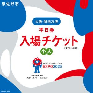 ふるさと納税 泉佐野市 【平日券】2025年日本国際博覧会 大阪・関西万博 入場チケット(小人1名分) 099W071