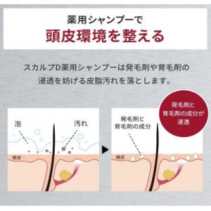 ふるさと納税 橋本市 【9月末掲載終了】【2ヵ...の詳細画像3