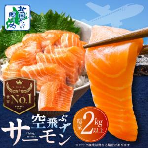 ふるさと納税 泉佐野市 アトランティックサーモン 総量 2kg以上 サーモン 冷凍 099H3607
