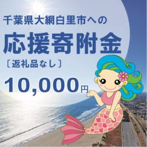 ふるさと納税 大網白里市 【返礼品なし】大網白里市への寄附 〔10,000円分〕