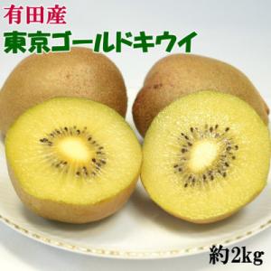ふるさと納税 有田川町 【数量限定】キウイフルーツの新品種「東京ゴールド」約2kg(サイズ混合)