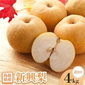 ふるさと納税 智頭町 【訳あり】新興梨　4kg