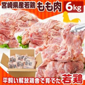 ふるさと納税 都城市 【期間限定】宮崎県産若鶏...の詳細画像1