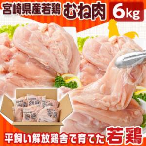 ふるさと納税 都城市 宮崎県産若鶏 むね肉(6kg)の詳細画像1