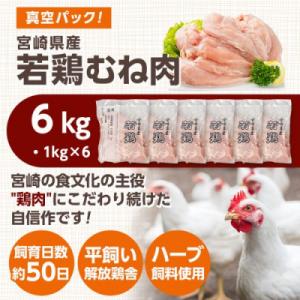 ふるさと納税 都城市 宮崎県産若鶏 むね肉(6kg)の詳細画像3