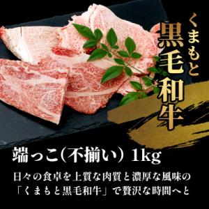 ふるさと納税 多良木町 【訳あり】くまもと黒毛...の詳細画像2