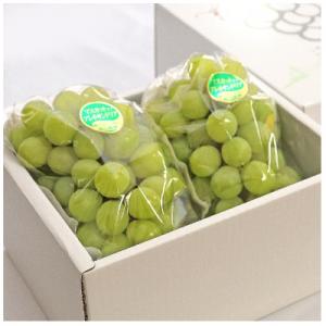 ふるさと納税 浅口市 岡山県産マスカット・オブ・アレキサンドリア1.2kg(2房)