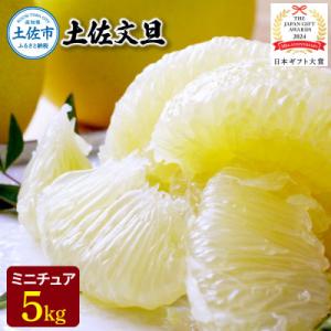 ふるさと納税 土佐市 日本ギフト大賞受賞・先行予約 希少 ミニチュアミラクル土佐文旦 5kg 高知県...