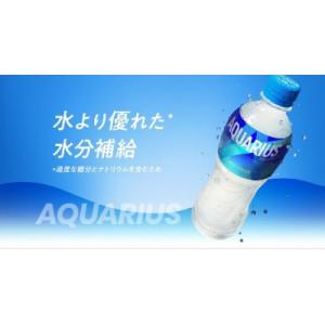 ふるさと納税 基山町 アクエリアス 600ml...の詳細画像3