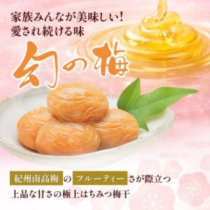 ふるさと納税 田辺市 幻の梅 1kg (粒3L...の詳細画像2