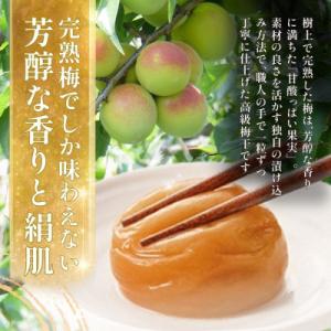 ふるさと納税 田辺市 幻の梅 1kg (粒3L...の詳細画像3