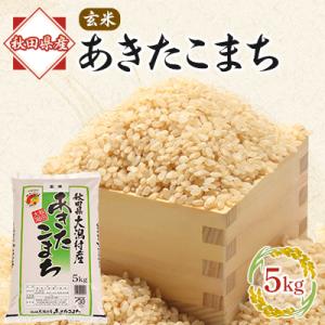 ふるさと納税 大潟村 あきたこまち玄米5kg