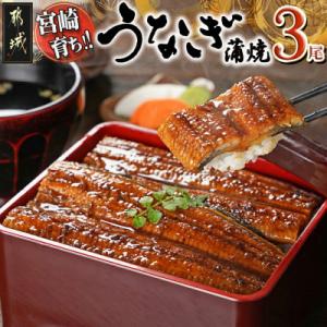 ふるさと納税 都城市 宮崎県育ちのうなぎ蒲焼3尾約500g≪山椒・たれ付≫(都城市)