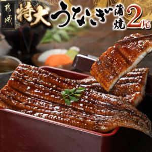 ふるさと納税 都城市 宮崎県育ちのうなぎ蒲焼2尾440g以上(大きいサイズ)≪山椒・たれ付≫(都城市...