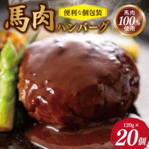ふるさと納税 泉佐野市 馬肉ハンバーグ　120g×20個