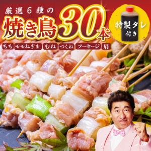 ふるさと納税 泉佐野市 桜文 焼き鳥 6種30本...の商品画像