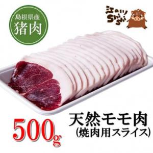 ふるさと納税 江津市 天然猪「江の川shishi」焼き肉スライス(モモ肉)　500g
