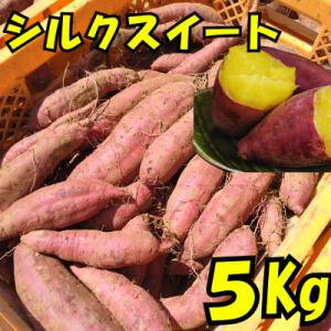 ふるさと納税 かすみがうら市 さつまいも(シルクスイート5kg)