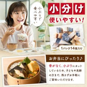 ふるさと納税 京丹後市 【訳あり 塩さば】魚屋...の詳細画像2